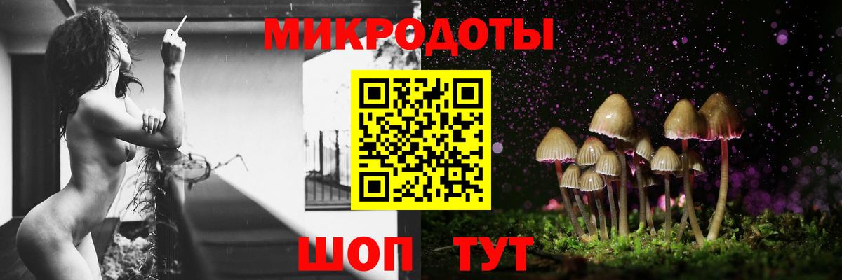 Псилоцибиновые грибы Psilocybe Луховицы